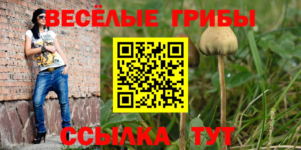 Псилоцибиновые грибы мицелий Тимашёвск