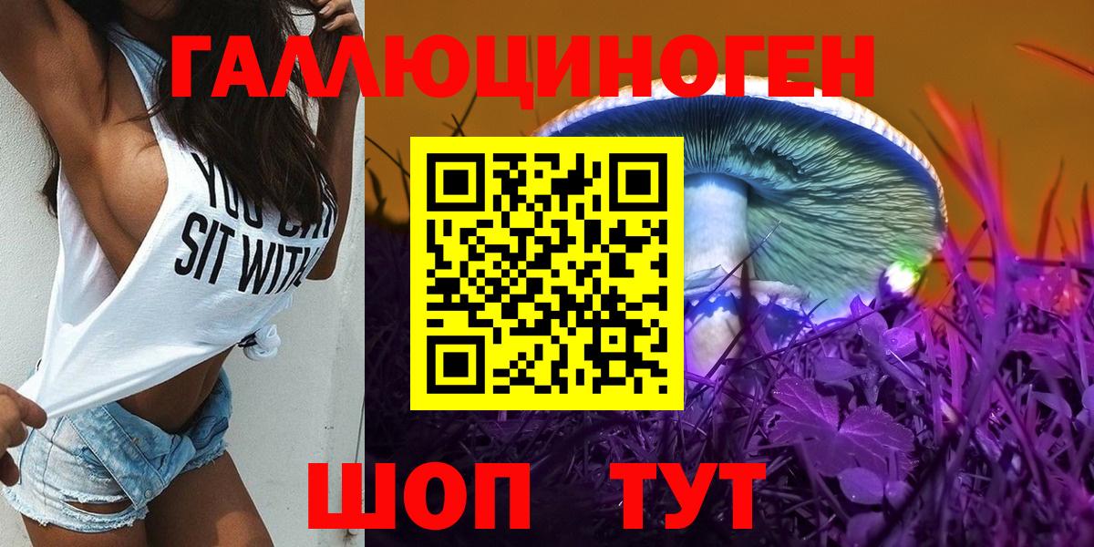 Псилоцибиновые грибы Psilocybe  Вход с VPN  Тимашёвск 